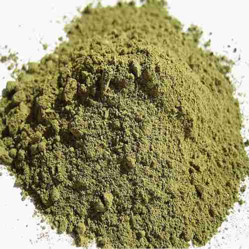 chacruna-psychotria-viridis-secca-polvere